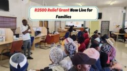 Urgent: SASSA Introduces R2,500 Family Emergency Grant – Apply Before Sept 12!