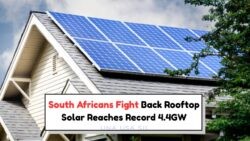 South Africa's Loadshedding Solution: 2025 Rooftop Solar Hits 4.4GW as Citizens Embrace Off-Grid Living!