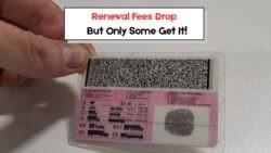 15 July Update: SA Govt Cuts Licence & Renewal Fees – Discover the Surprising Conditions!