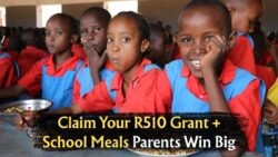 South Africa Unveils New Relief: R510 Monthly Grants and Hot School Meals to Aid Struggling Households!