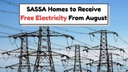 SASSA's 2025 Plan: Free Electricity for Millions Begins this August