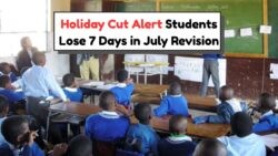 July 2025 School Plan: Education Dept's Holiday Cuts Ignite Controversy