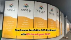 August 2025: South Africa Embraces Guaranteed Basic Income, Replacing SRD for Eligible Citizens