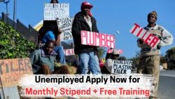Seize the 18 July Opportunity: SA's Jobless Youth Can Earn R1,200 While Gaining Digital Skills – Apply Now!