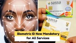 Urgent: New ID Required by 20 July to Access Government Services