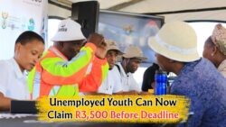 Don't Miss Out: SASSA's R3,500 Job Assistance for Youths 18–34 – Apply by 18 September!