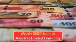 Hurry: Secure R500/Week for 12 Weeks by Applying Before 10 Sept – Limited Spots Available!