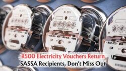 Get Ready: SASSA Homes Can Apply for R500 Free Electricity Starting 25 August!