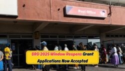 Don't Miss Out: SRD Application Round Reopens on 5 Sept for Your R370 Approval!