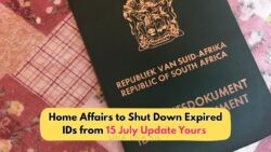 Urgent: Keep Your SASSA Grant! Expired IDs to Be Blocked Starting 15 July – Here’s the Reverification Process