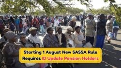 Urgent: SASSA Pension Payments Now Tied to Updated IDs – Act by 1 August