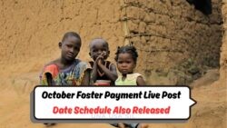 SASSA Payout Alert: R1,250 for Foster Children Credited on 7 Oct – Discover Post-October Payment Dates Now!