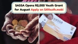 SASSA Youth Grant Alert: SAYouth.mobi Portal Accepting R2,000 Applications for August 2025 Intake