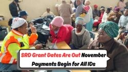 R370 SRD Grant Available 25 Nov: Check Your ID Notification Timing Today!