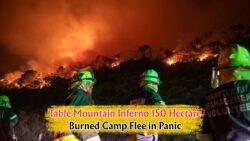 Table Mountain Fire Ravages 150 Hectares in July: Panic Grips South Africa's Scenic Jewel