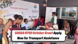 October Alert: R750 Transport Allowance for Unemployed Kicks Off – SASSA Releases Schedule!